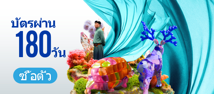 summer package, buyonegetonefree, kidisthemaster, macau 2049, family package