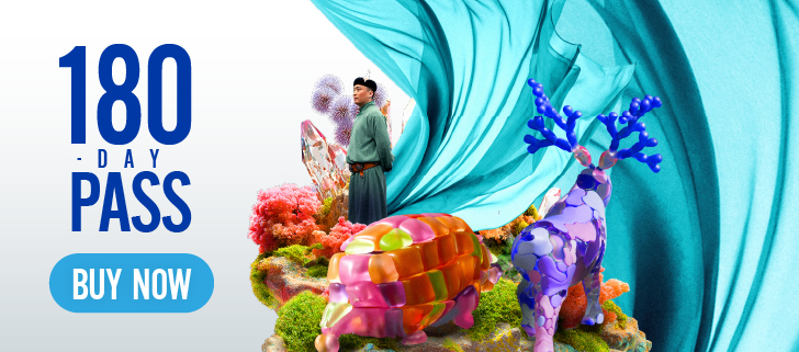 summer package, buyonegetonefree, kidisthemaster, macau 2049, family package