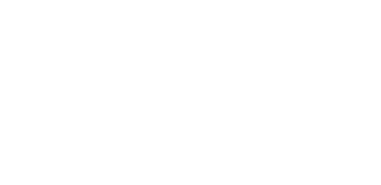 Macau 2049