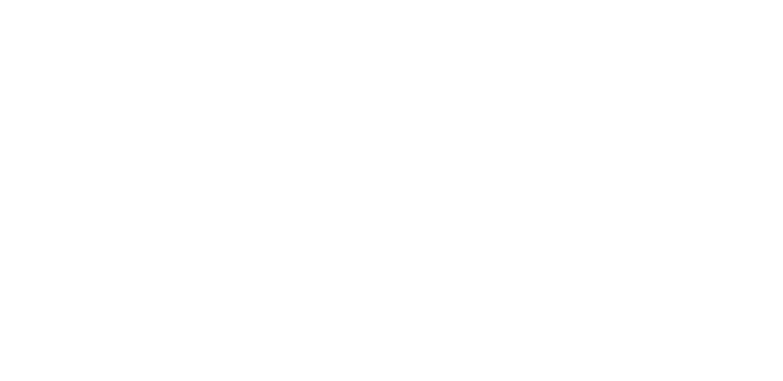 Macau 2049